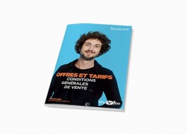 Icône Brochure originale Yahoo