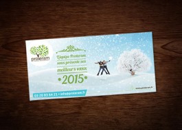 Icône Carte de Voeux Proteram 2015 par Ph Design