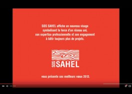 Icône d'une animation vidéo pour Sos Sahel réalisée par une graphiste web à Paris